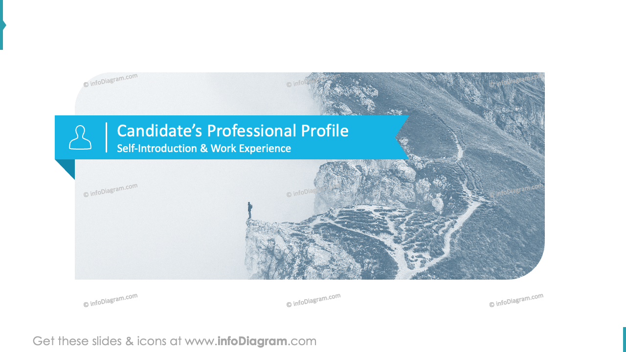 CandidateÕs Professional Profile Muted Blue Style