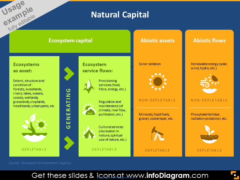 Graphique du capital naturel