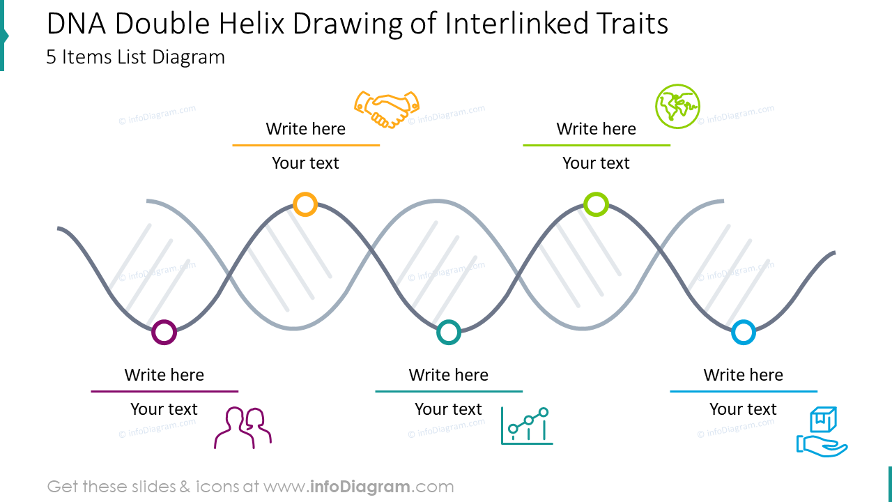 DNA double helix drawing of interlinked traits for five items