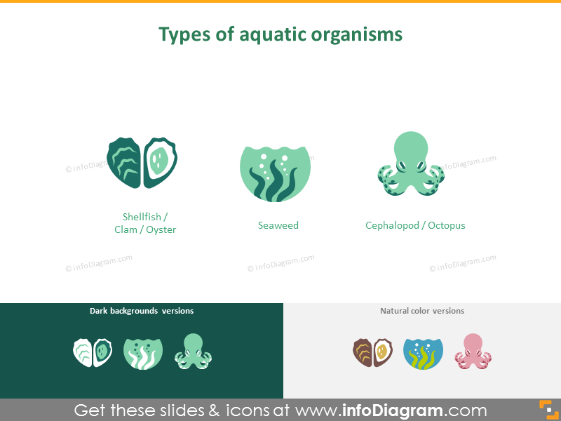 Types d'organismes aquatiques
