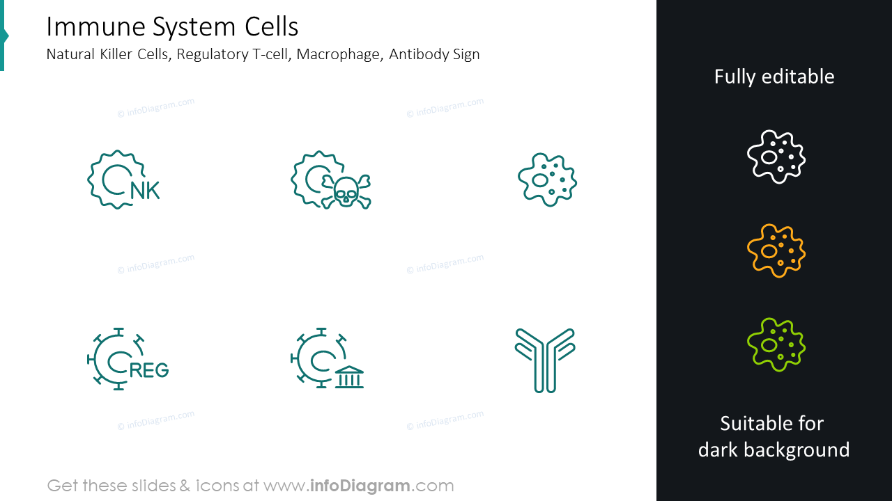 Natural killer cells, regulatory T-cell, macrophage icons