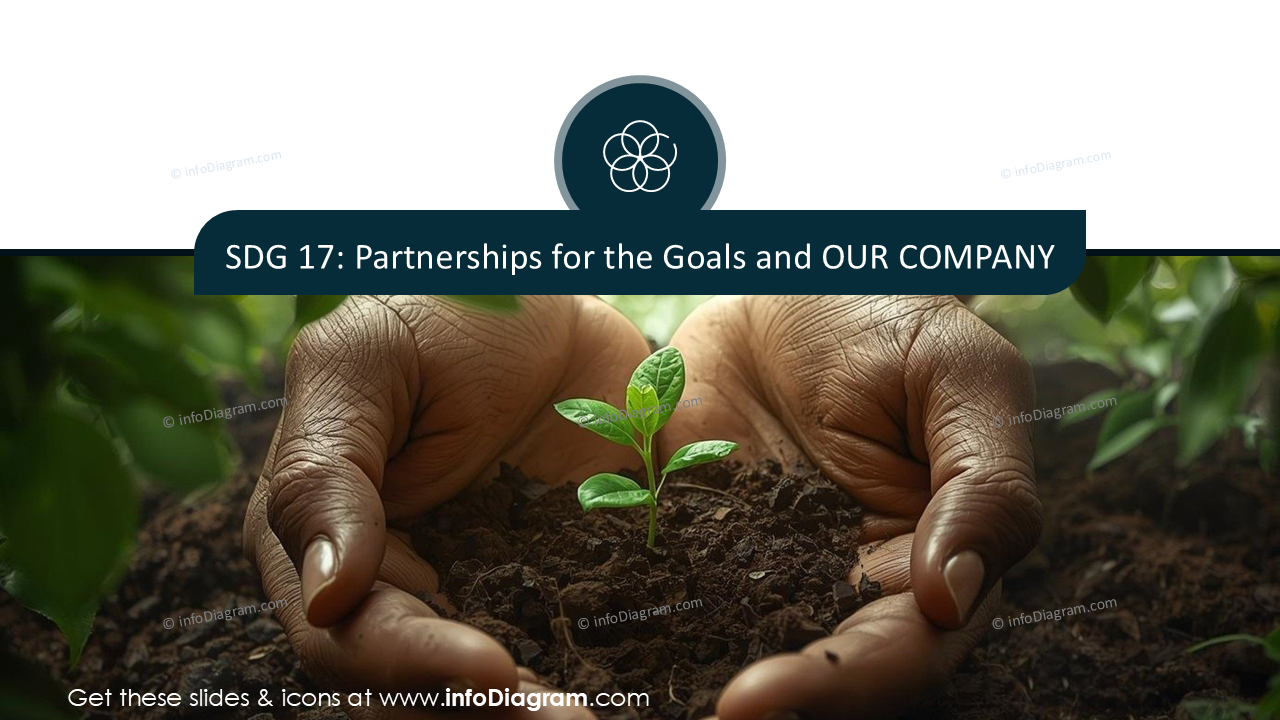 Presenting SDG 17, Partnerships for the Goals and Company Stand, Section Slide