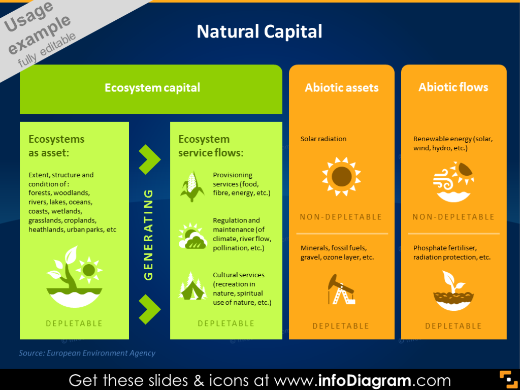 Gráfico de Capital Natural