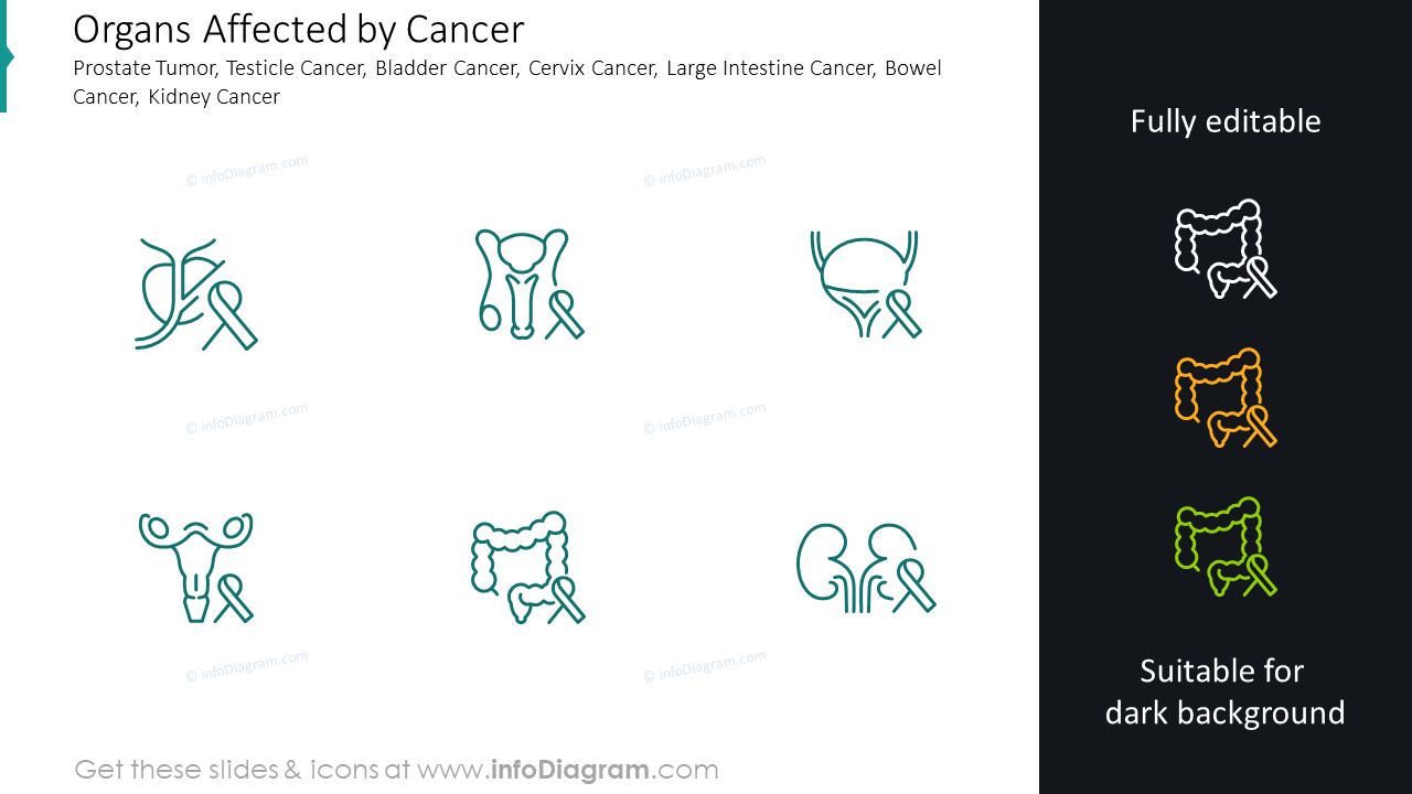 Íconos de órganos afectados por el cáncer: tumor de próstata, cáncer de testículo