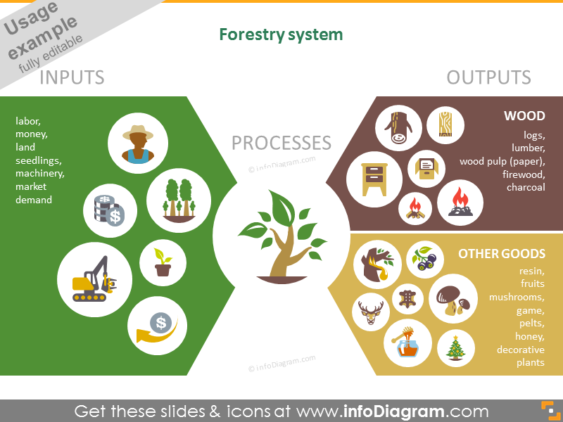 Infographie sur les systèmes forestiers