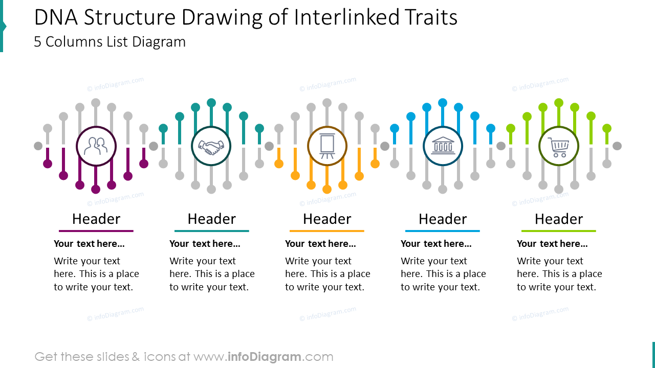 DNA structure drawing of interlinked traitswith five columns