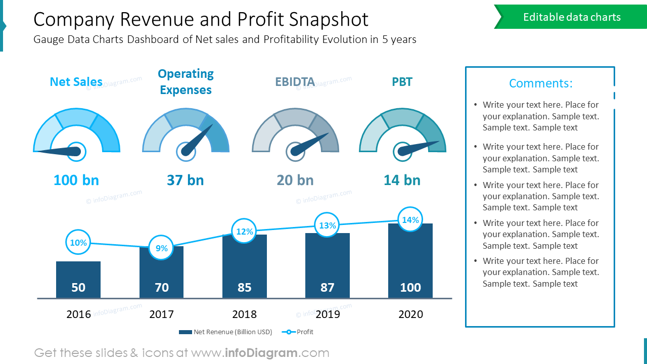 Company Revenue and Profit Snapshot
