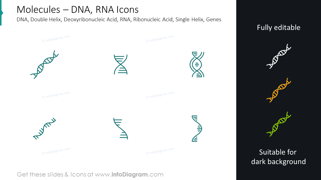 Iconos de moléculas: ADN, ARN, hélice doble