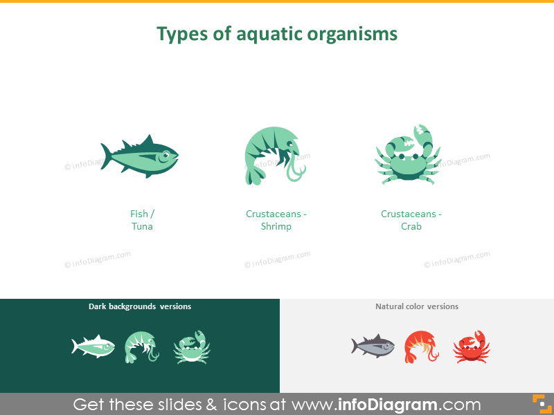 Types d'organismes aquatiques