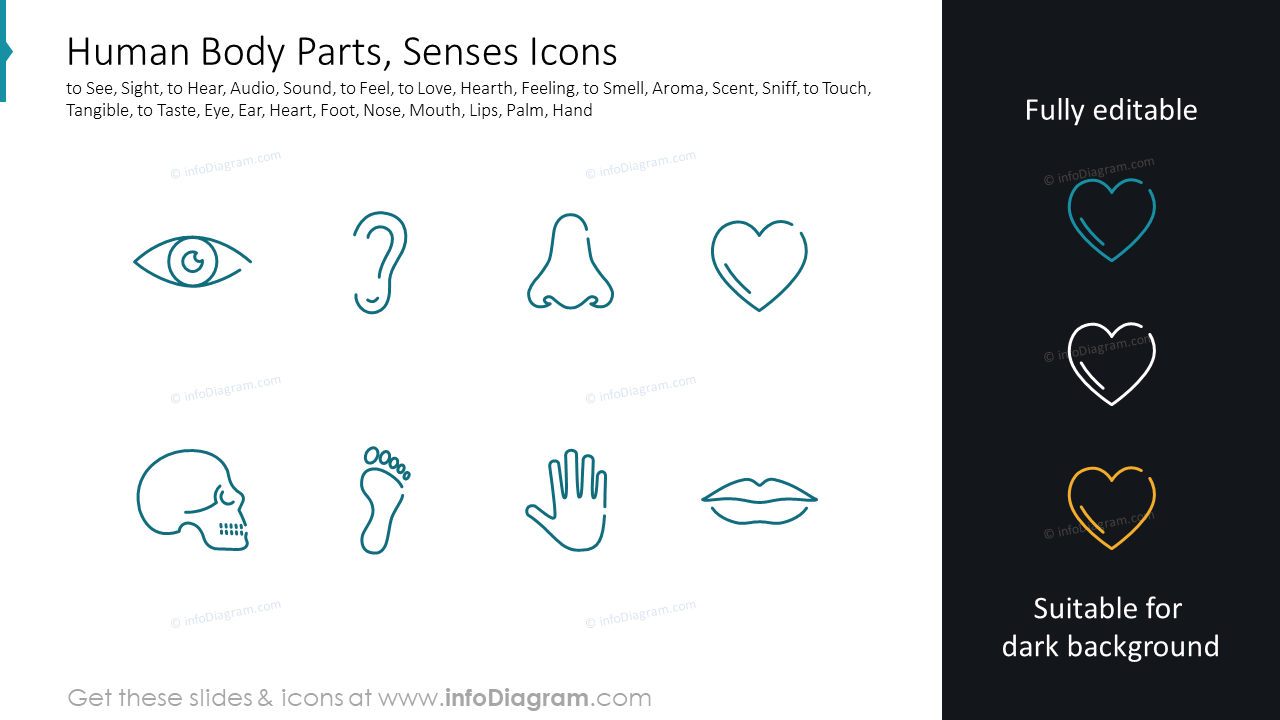 Partes del Cuerpo Humano, Iconos de Sentidos