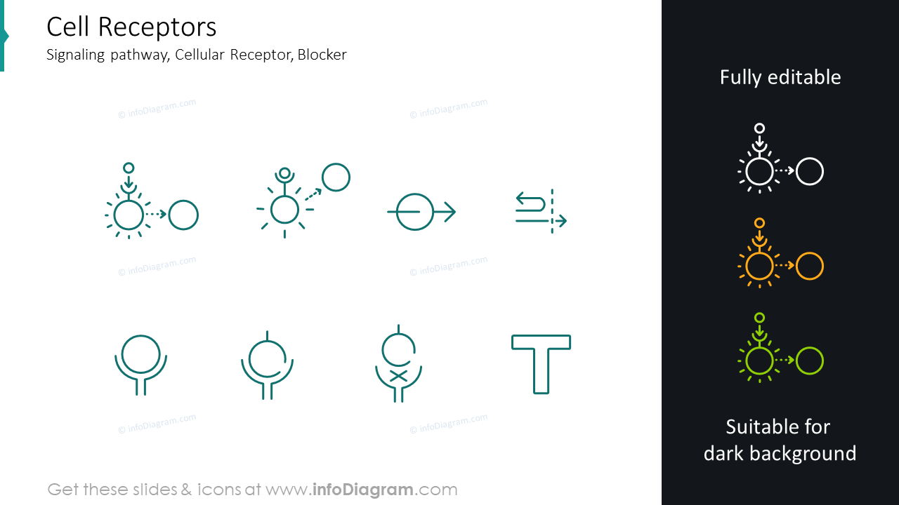 Cell receptors icons: signaling pathway, cellular receptor 