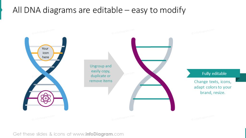 Example of editability DNA graphics