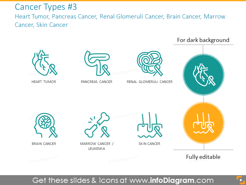 Heart Tumor, Pancreas Cancer, Renal Glomeruli Cancer, Brain Cancer