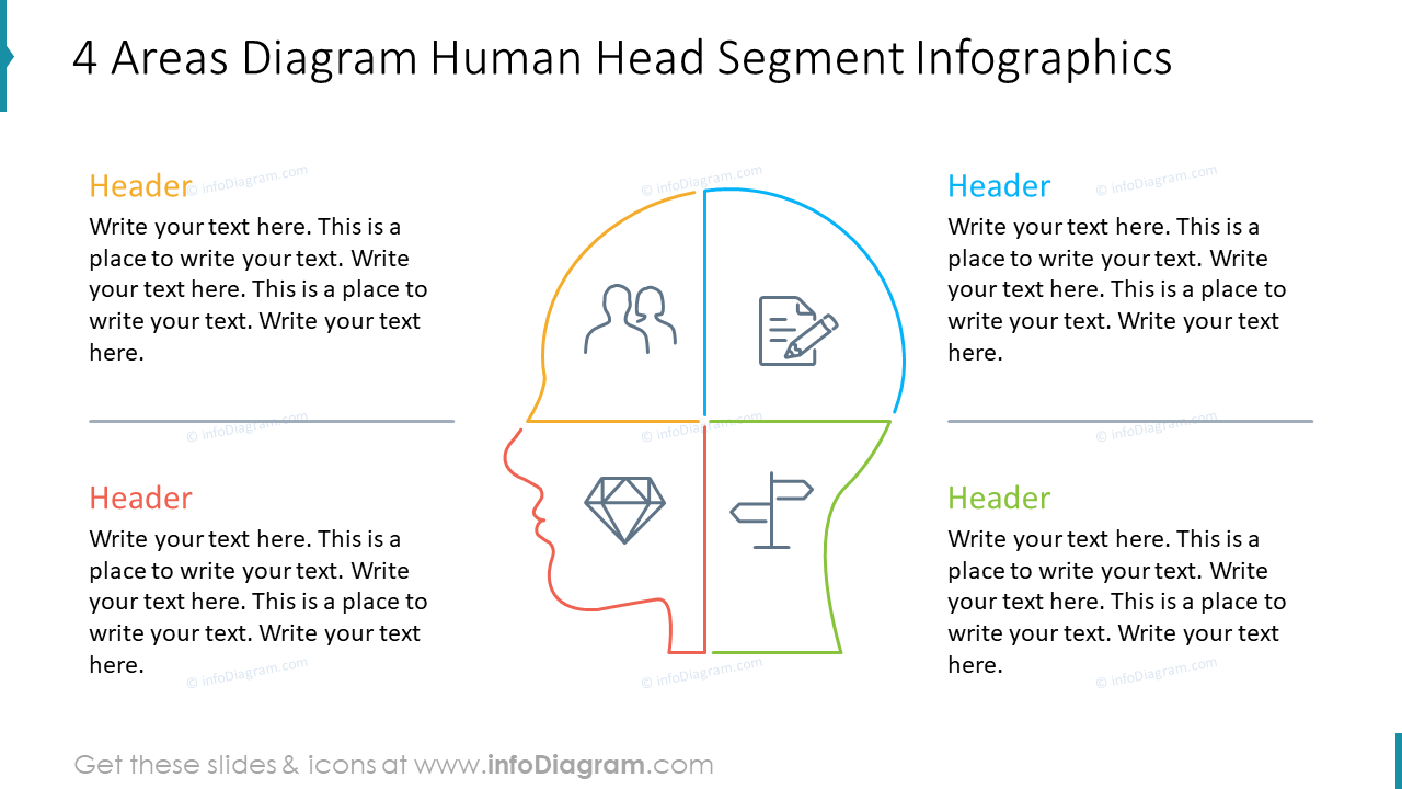 Diagramme des 4 zones Infographies segmentées de la tête humaine