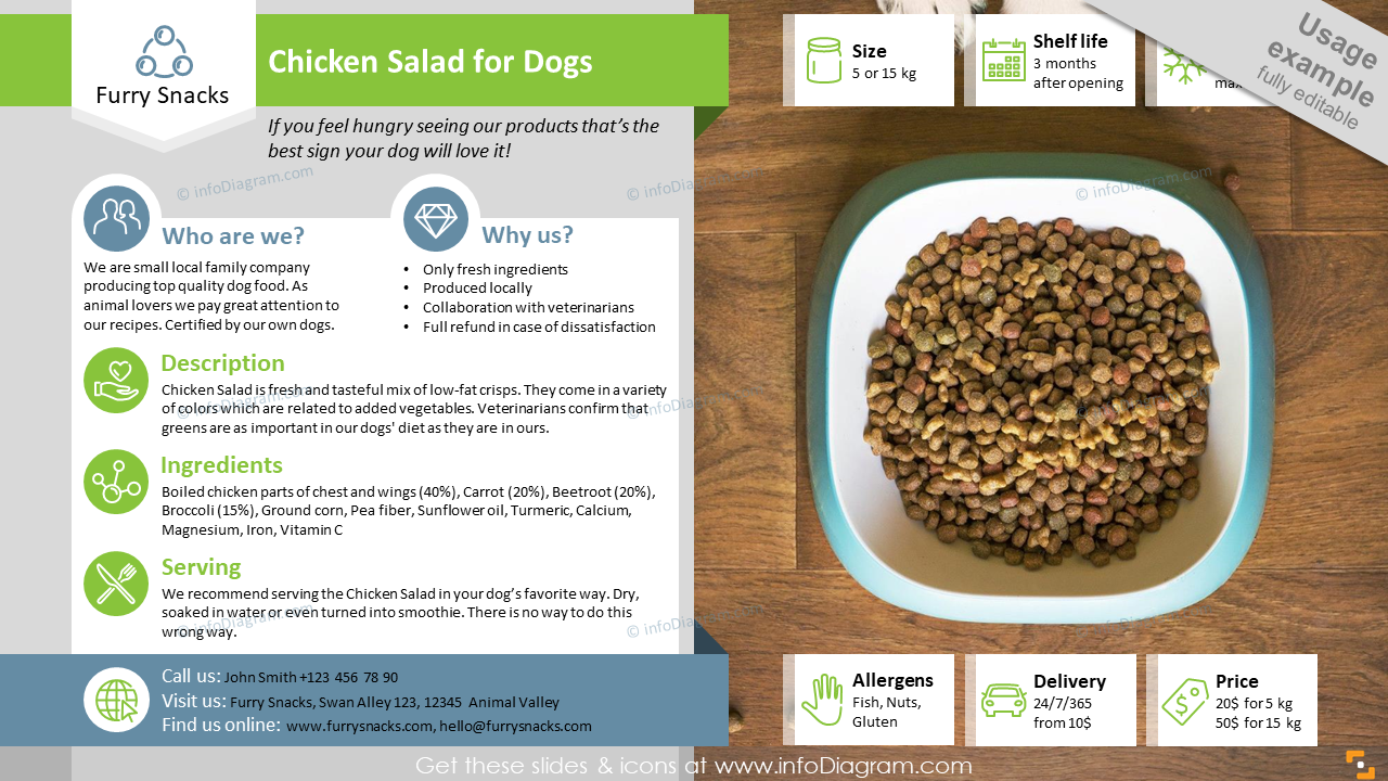 B2C Food Product Presentation Flier