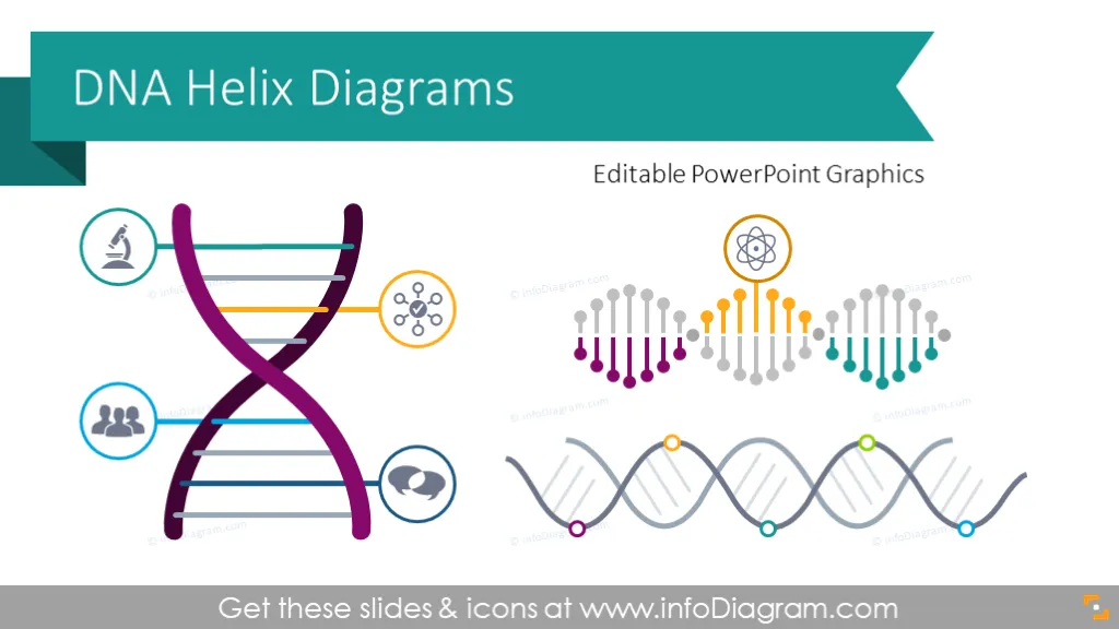 Company DNA Helix Diagrams (PPT Template) preview 1
