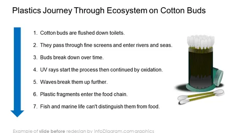 Plastic Journey Through Ecosystem slide before redesign