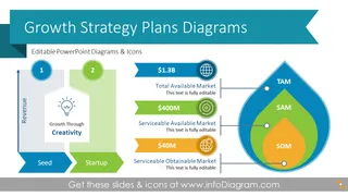 Business Growth Strategy Plan Presentation (PPT Template)