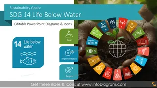 Ziele für nachhaltige Entwicklung SDG 14: Leben unter Wasser (PPT-Vorlage)