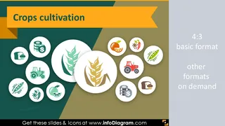 Fruits Vegetables Crop Agriculture icons (PPT flat clipart)